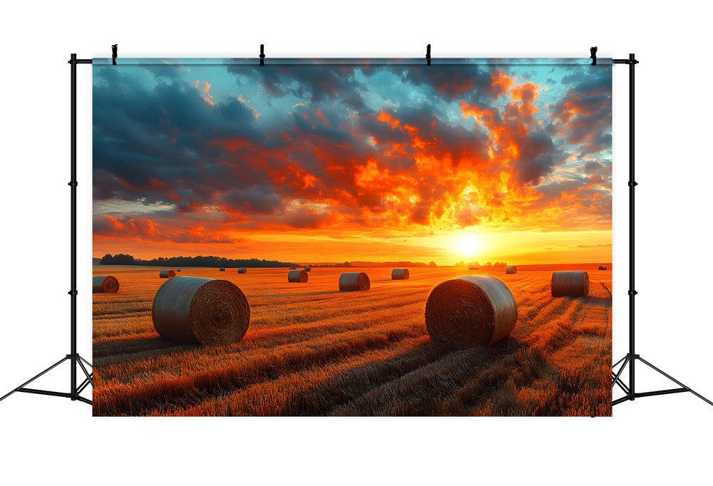 Sfondo Del Campo Di Grano Raccolto Al Tramonto Autunnale RR9-29