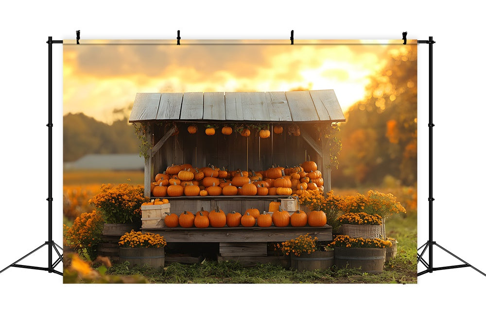 Fondale In Legno Con Fiori Di Zucca Al Tramonto Autunnale RR9-40