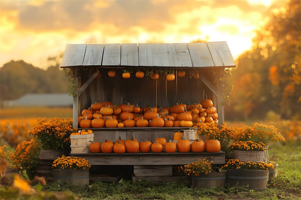 Fondale In Legno Con Fiori Di Zucca Al Tramonto Autunnale RR9-40