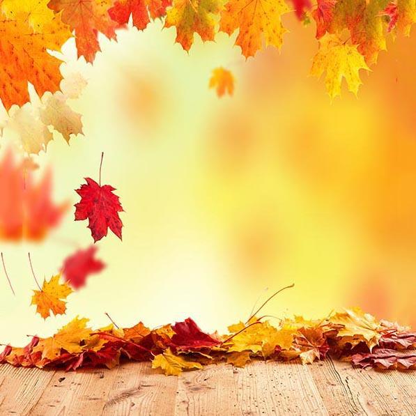 Sfondo Autunnale Con Foglie D'Acero Gialle Per Fotografia S-3136