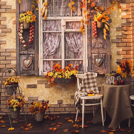 Sfondo Fotografico Autunnale Con Foglie Gialle E Finestra Autunnale S-3201