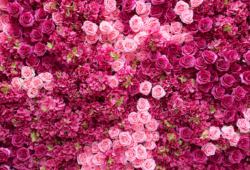Sfondo Di Matrimonio Con Fiori Di Rose Rosse E Rosa SH-1018