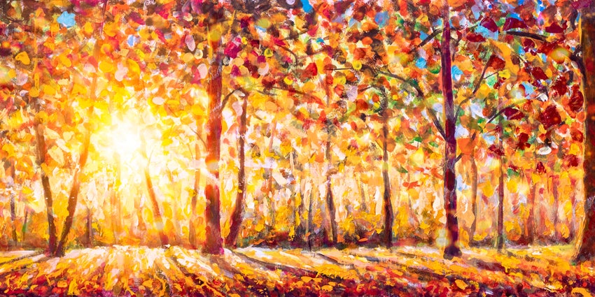 Sfondo Da Studio Con Foglie Gialle Dorate Del Sole Autunnale SH-805