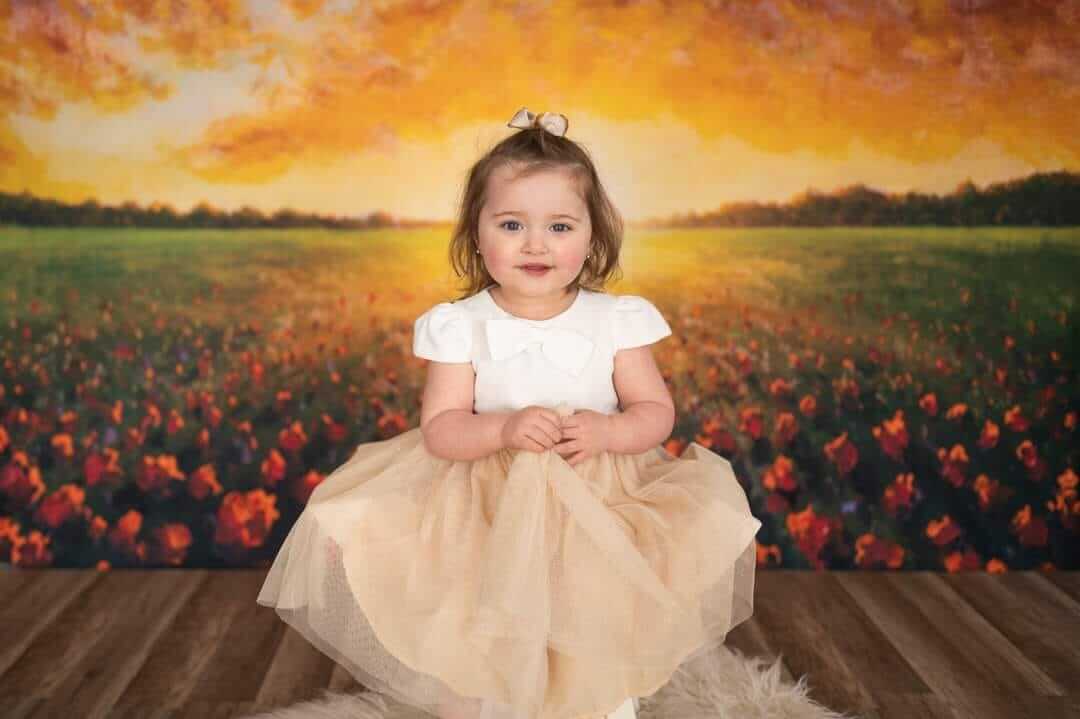 Sfondo Fotografico Di Paesaggio Al Tramonto Con Nuvole Di Fiori Di Campo SH-825