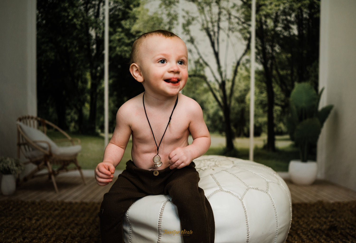 Interno Del Soggiorno Sedia Piante Pavimento In Legno Sfondo Per Riprese Video Fotografiche SH661