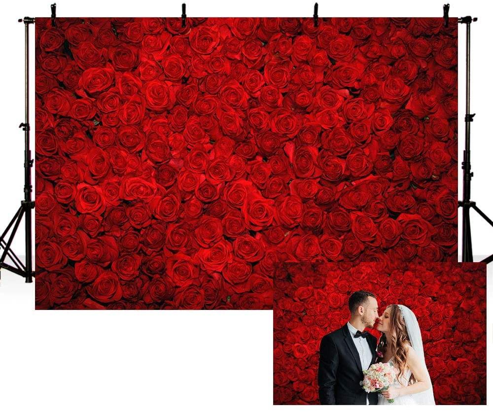 Sfondo Fotografico Con Rosa Rossa Per Decorazioni Di San Valentino VAT-42