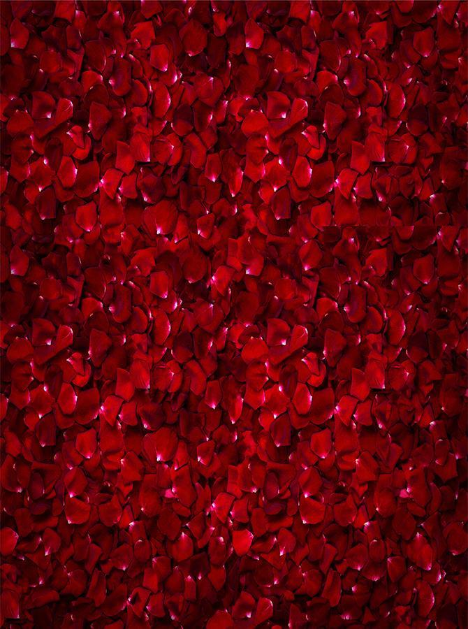 Sfondo Di Petali Di Rosa Rossa Per Il Servizio Fotografico In Studio KAT- 69