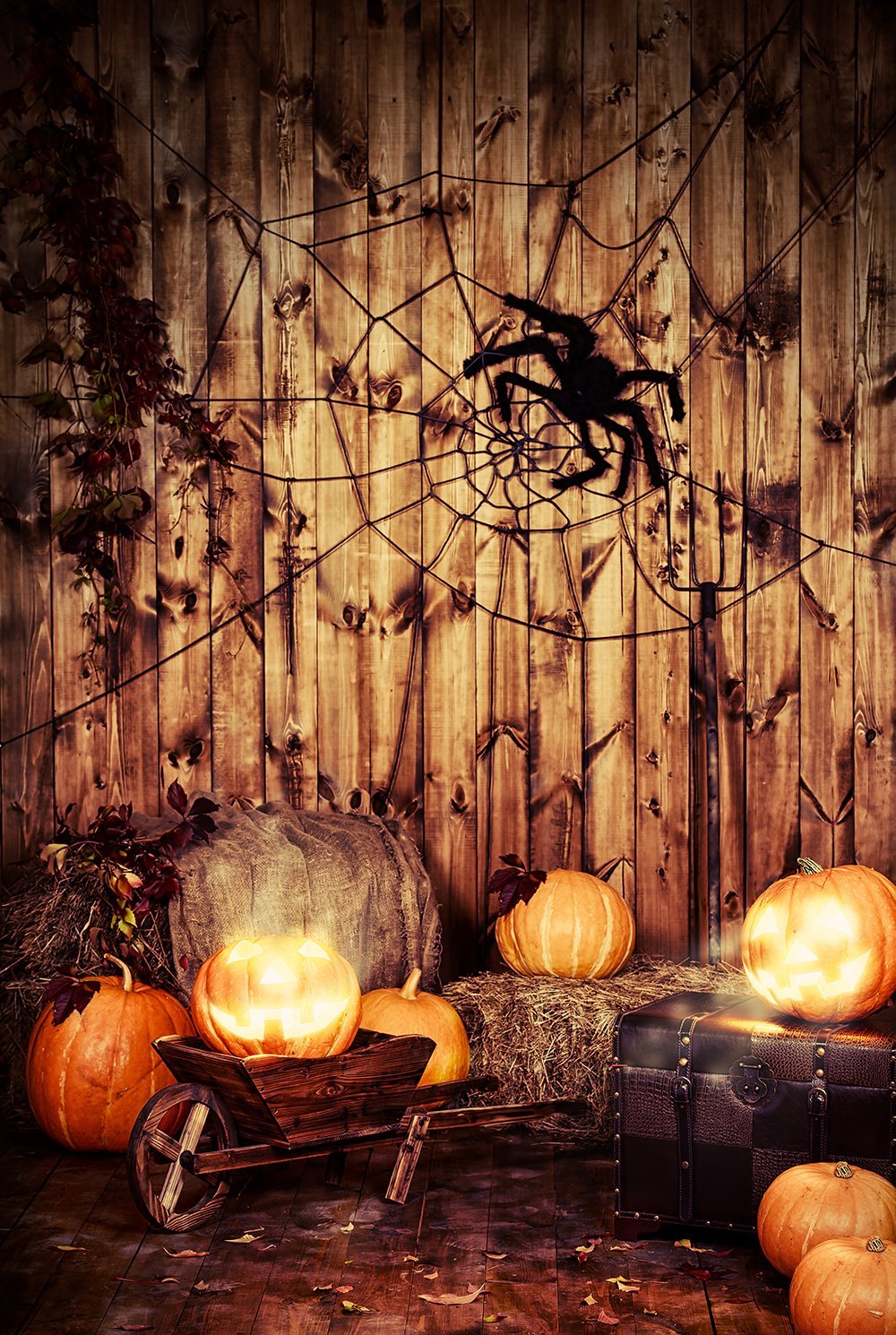 Sfondo Di Halloween Da Parete In Legno Con Ragnatela Di Zucca Per Fotografia DBD-19081